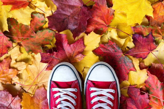 Programme des vacances d’automne 2025